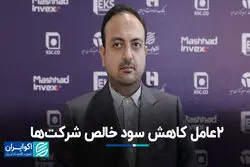  2 عامل کاهش سود خالص شرکت‌ها 