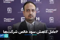  2 عامل کاهش سود خالص شرکت‌ها 