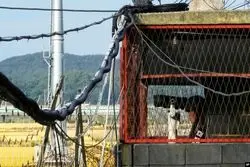 کره جنوبی در وضعیت آماده‌باش؛ تکرار تجربه غزه-اسرائیل در شبه‌ جزیره کره؟