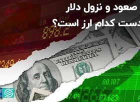 مرز صعود و نزول دلار در دست کدام ارز است؟