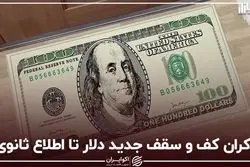 اکران کف و سقف جدید دلار تا اطلاع ثانوی