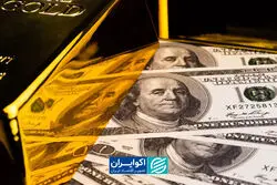دلار از طلا و سکه سبقت گرفت