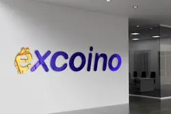 چهار سال تخریب برای رقابت؛ روایت مستند اکسکوینو از اکسکوین و حقیقت پنهان