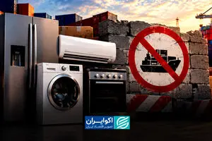 ممنوعیت، چهار قلم را از تجارت مرزی حذف کرد