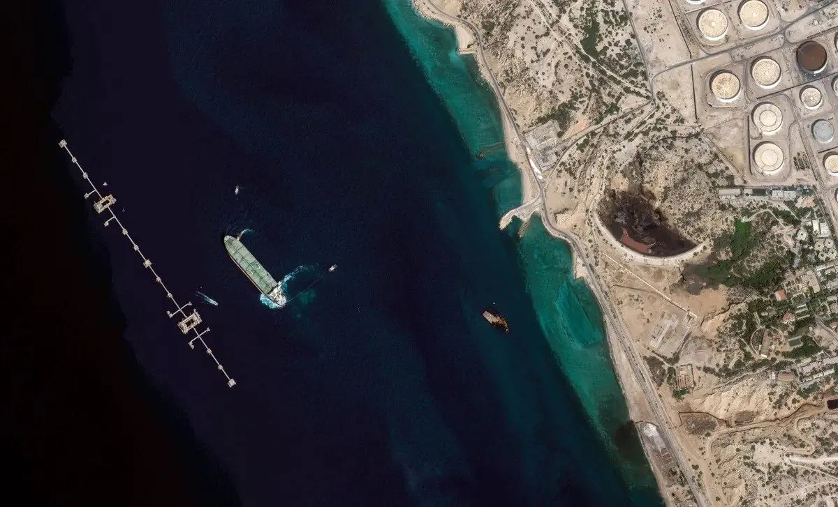 چگونه می‌توان با بیماری هلندی مقابله کرد؟