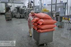 صنعت غذا در بن بست  صادرات