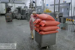 صنعت غذا در بن بست  صادرات