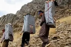 واردت کولبری و ته‌لنجی وارد رادار شد