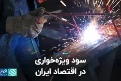 سود ویژه‌خواری در اقتصاد ایران