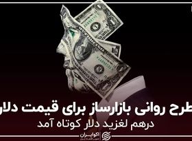 طرح روانی بازارساز برای قیمت دلار