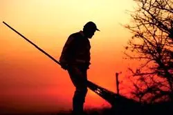 حذف پاکبانان افغان؛ بازیگران تازه‌ چهره تهران را تغییر می‌دهند