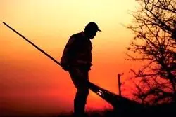  نظافت با جان پاکبان‌ها؛قربانیان سرعت در خیابان‌های تهران