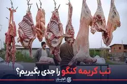 تب کریمه کنگو را جدی بگیریم؟