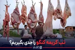 تب کریمه کنگو را جدی بگیریم؟