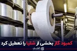 کمبود گاز بخشی از شلیا را تعطیل کرد