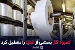 کمبود گاز بخشی از شلیا را تعطیل کرد