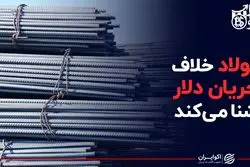فولاد خلاف جریان دلار شنا می‌کند