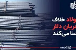 فولاد خلاف جریان دلار شنا می‌کند