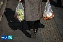 تورم خوراکی و سقوط قدرت خرید؛ چرا هزینه سبد معیشت در شهریورماه اوج گرفت؟