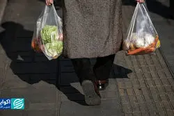 تورم خوراکی و سقوط قدرت خرید؛ چرا هزینه سبد معیشت در شهریورماه اوج گرفت؟