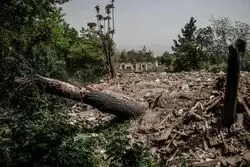  چراغ سبز به ساخت و ساز در باغات

