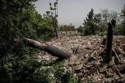  چراغ سبز به ساخت و ساز در باغات

