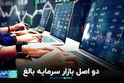 دو اصل بازار سرمایه بالغ