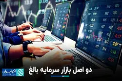 دو اصل بازار سرمایه بالغ