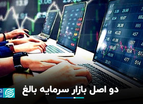 دو اصل بازار سرمایه بالغ