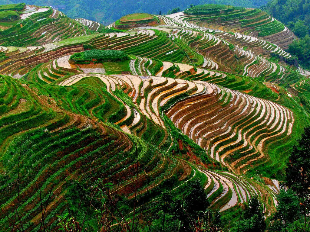 مقررات سختگیرانه چین برای حفاظت از خاک