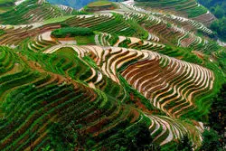 مقررات سختگیرانه چین برای حفاظت از خاک