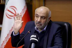 3 مانع بزرگ پیش‌روی مشاغل خانگی از نگاه وزیر کار/ اعلام مقررات جدید صادراتی گمرک به‌زودی