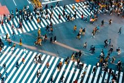 چشم‌انداز رشد جهان تیره‌تر شد