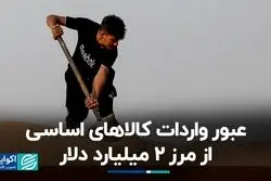 عبور واردات کالاهای اساسی از مرز 2 میلیارد دلار