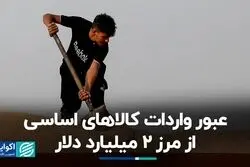 عبور واردات کالاهای اساسی از مرز 2 میلیارد دلار