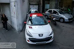 اختلاف قیمت 10خودرو از کارخانه تا بازار؛ از آواتار تا پژو ۲۰۷ 