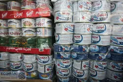 تولید تن ماهی کشور کاهش می‌یابد+ جزئیات