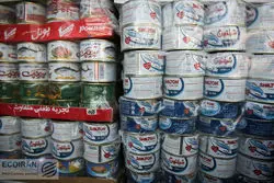 تولید تن ماهی کشور کاهش می‌یابد+ جزئیات