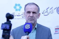 نایب‌رئیس فراکسیون فرهنگیان: فرهنگیان از عملکرد صندوق ذخیره رضایت ندارند