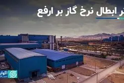 آثار مالی ابطال نرخ گاز و سوخت صنایع بر «ارفع»