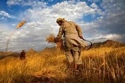 ترس از ناامنی غذایی و گرسنگی در دنیا