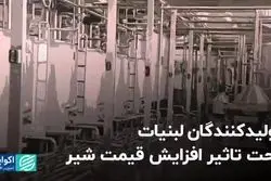 تولیدکنندگان لبنیات، تحت تاثیر افزایش قیمت شیر 