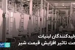 تولیدکنندگان لبنیات، تحت تاثیر افزایش قیمت شیر 