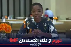 تورم از نگاه اقتصاددان IMF 