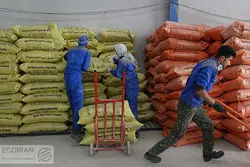 تحریم به صنایع کوچک رحم نکرد