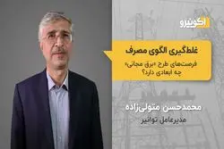 غلط گیری الگوی مصرف