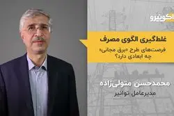 غلط گیری الگوی مصرف