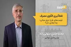 غلط گیری الگوی مصرف