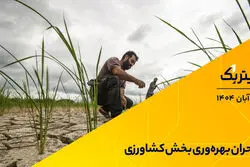 پادکست برنامه «تیتر یک» | بحران بهره‌وری بخش کشاورزی