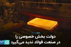 دولت بخش خصوصی را در صنعت فولاد ندید می‌گیرد